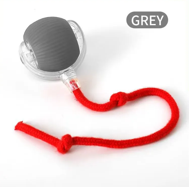 Self-Rolling Cat Toy Ball