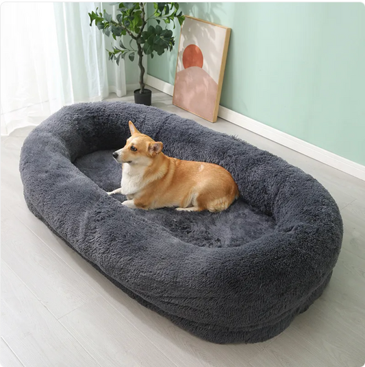 Large, Washable Pet Bed