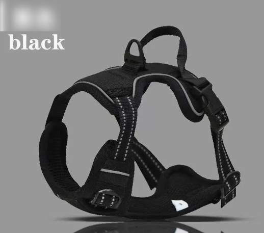 Pet Safety Vest