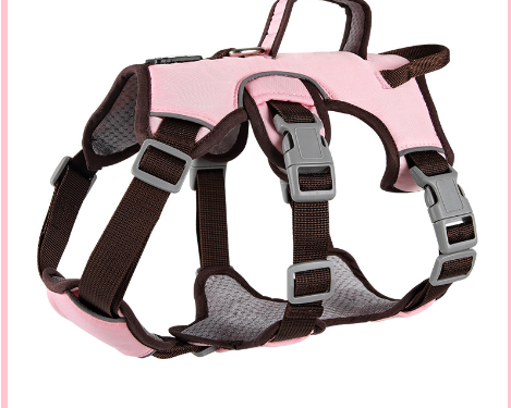 Pet Safety Vest