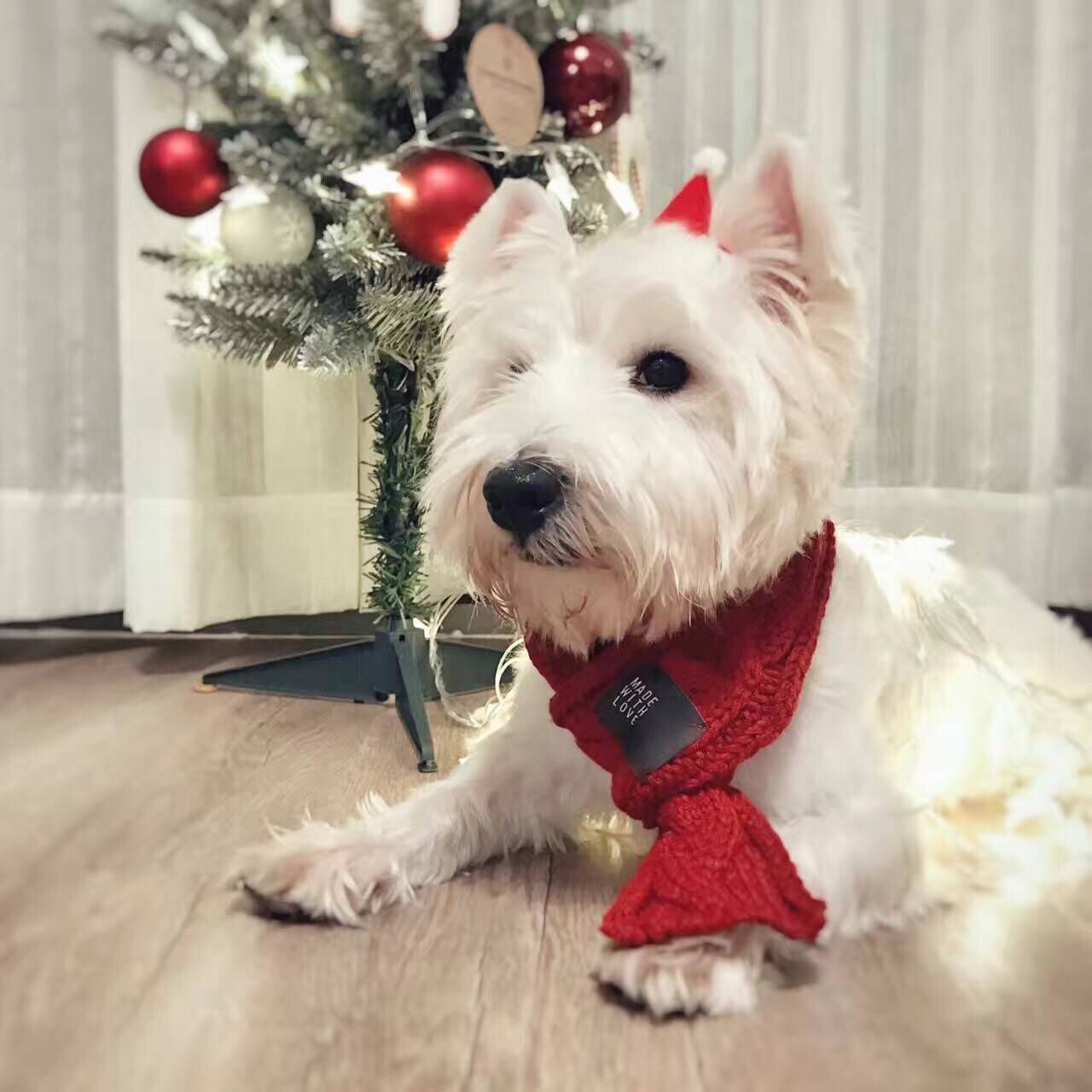 Cute Pet Scarf